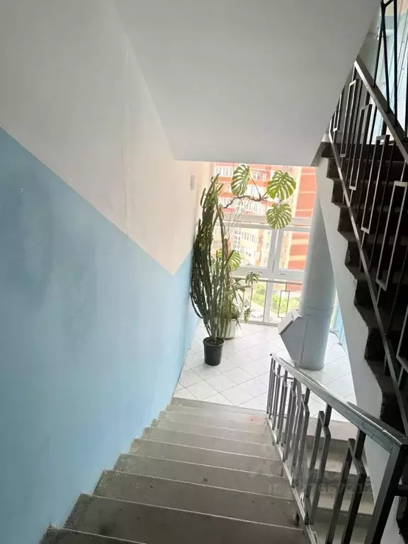 2-к кв. Московская область, Сергиев Посад просп. Красной Армии, 238 ... - Фото 2