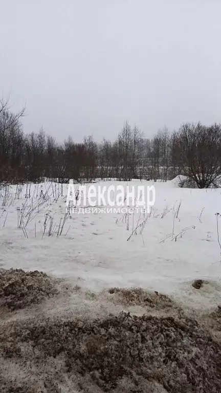 Участок в Ленинградская область, Волховский район, Вындиноостровское ... - Фото 2
