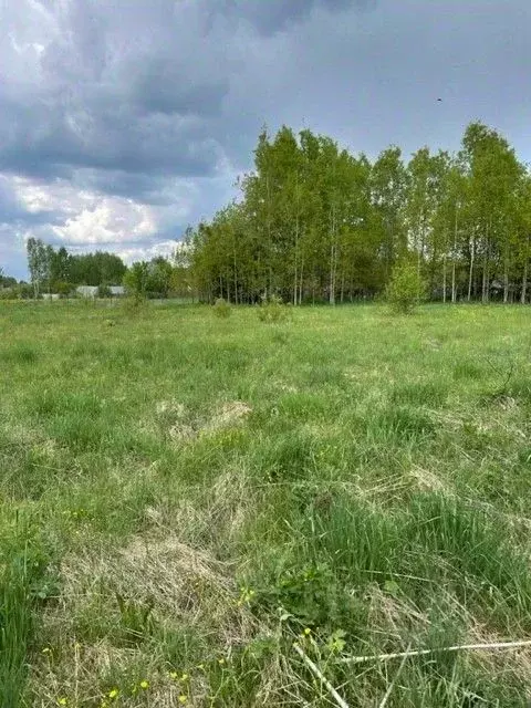 Участок в Кировская область, Орловский район, д. Скозырята 6 (18.5 ... - Фото 1