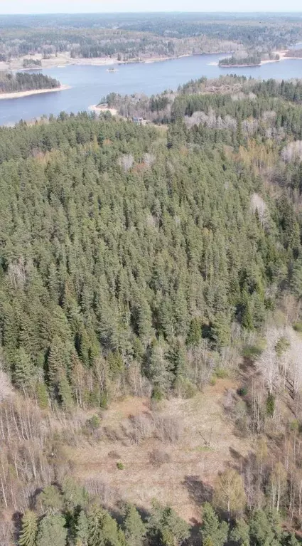 Участок в Карелия, Лахденпохский муниципальный округ, пос. Куркиеки, ... - Фото 2