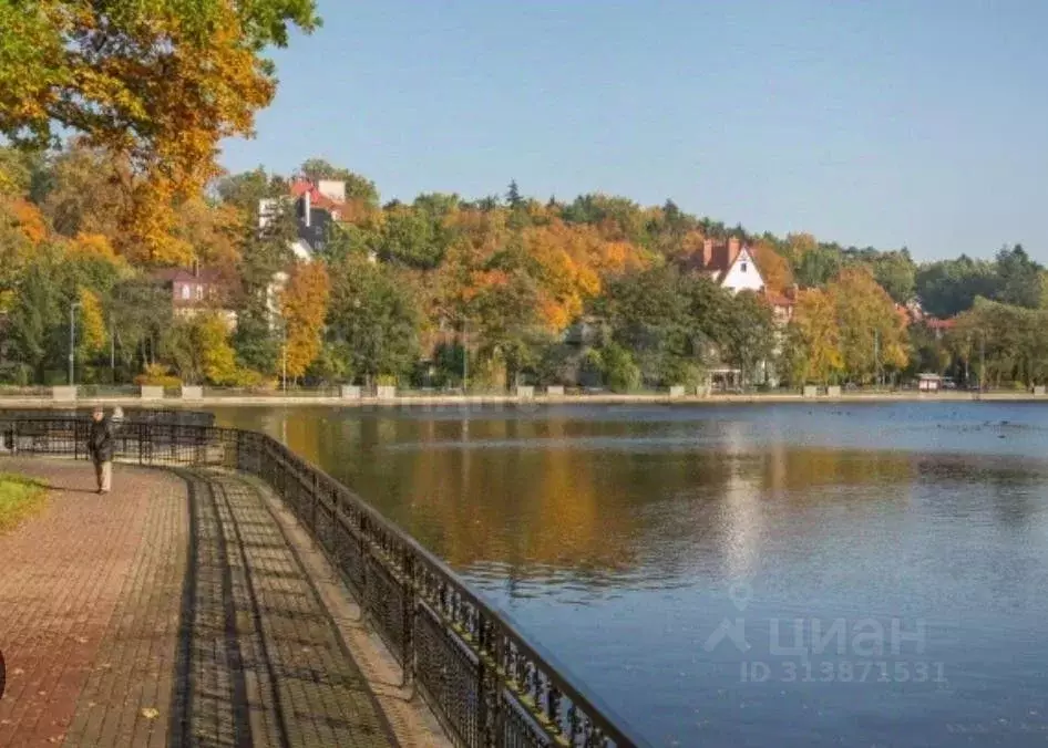 2-к кв. Калининградская область, Светлогорск Майский проезд, 3 (60.1 ... - Фото 1
