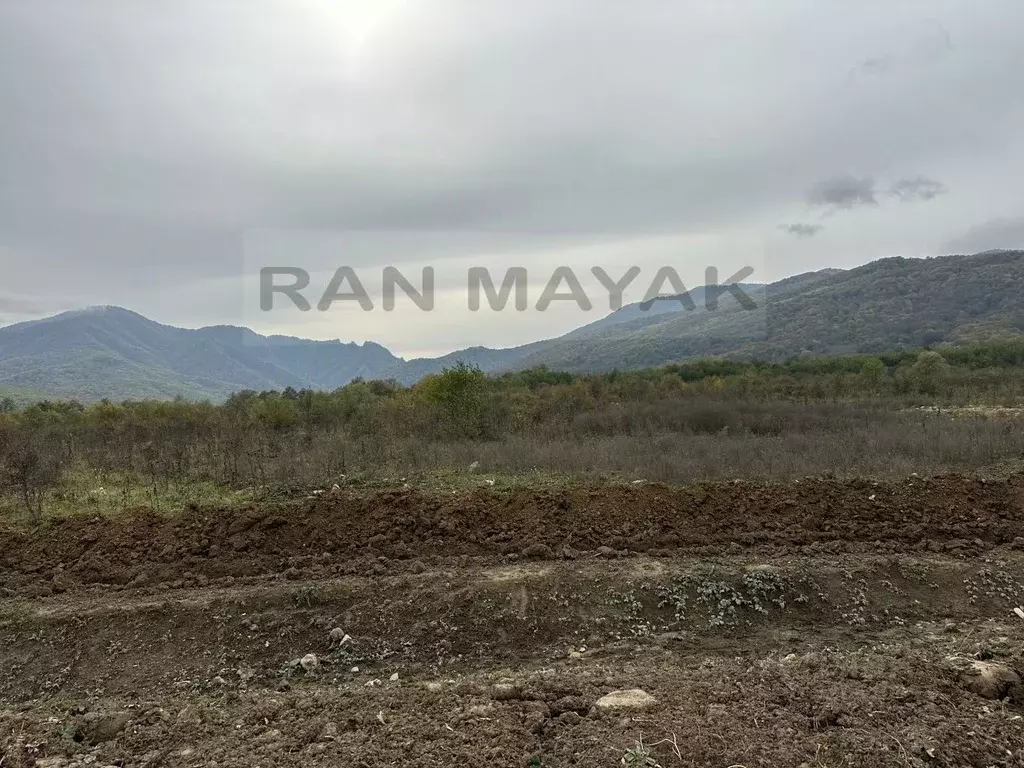 Участок в Адыгея, Майкопский район, Даховская ст-ца Советская ул., 20 ... - Фото 2