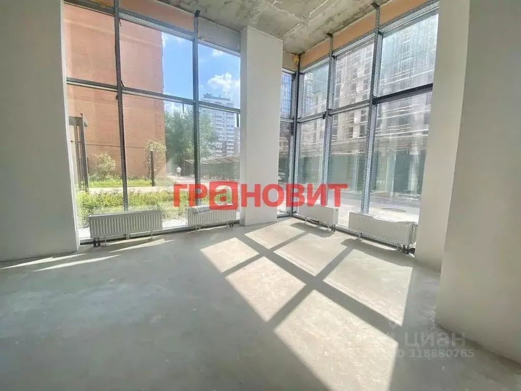 Помещение свободного назначения в Новосибирская область, Новосибирск ... - Фото 0
