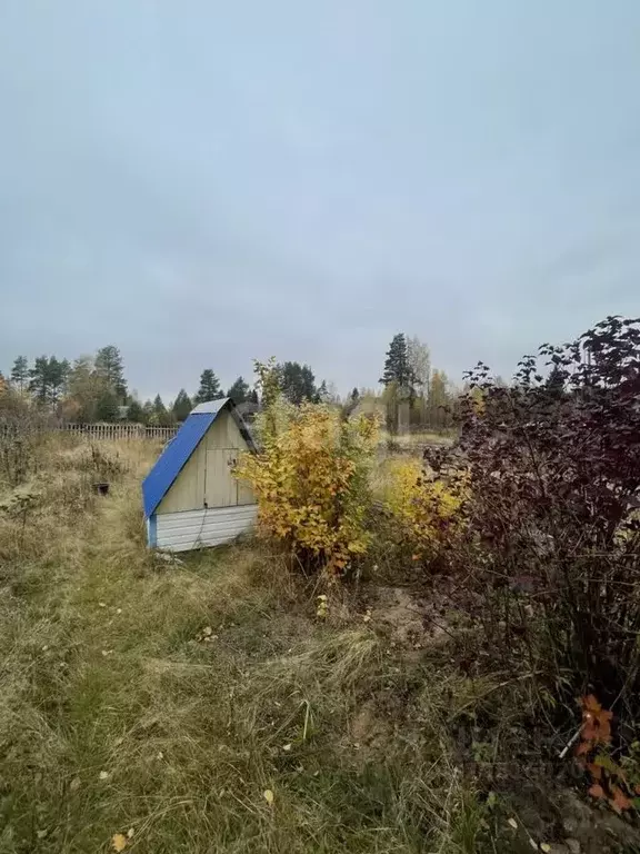 Участок в Архангельская область, Котласский муниципальный округ, пос. ... - Фото 1