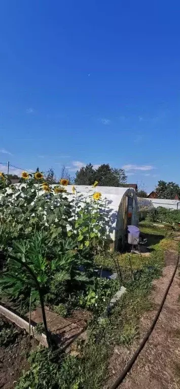 Участок в Новосибирская область, Новосибирск Садовод Сибирь 2 СНТ, 121 ... - Фото 1