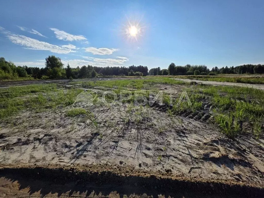Участок в Тюменская область, Тюменский муниципальный округ, д. ... - Фото 2