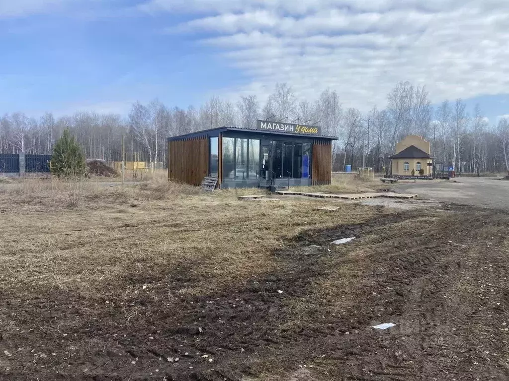 Торговая площадь в Тюменская область, Тюменский муниципальный округ, ... - Фото 2