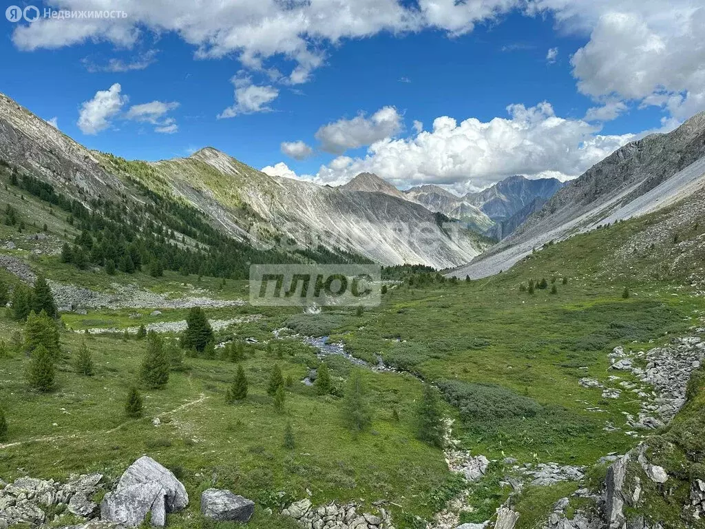 Участок в посёлок Аршан, Трактовая улица, 159 (6 м) - Фото 1