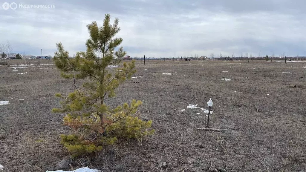 Участок в Тулагино, улица Связистов (10 м) - Фото 1