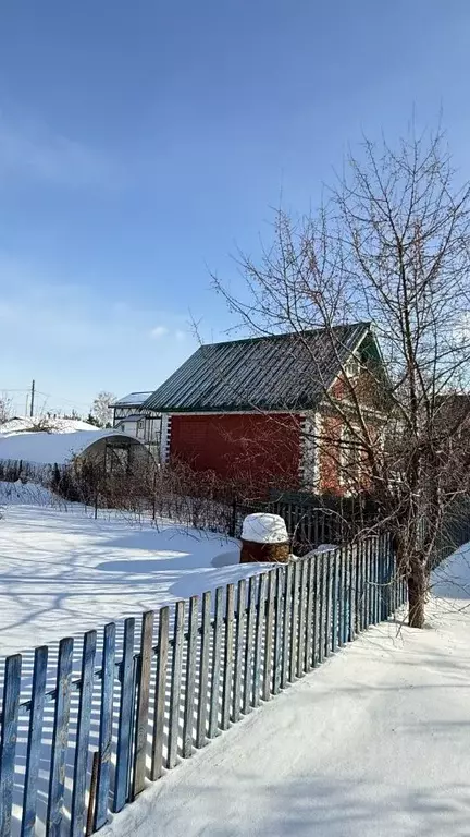 Дом в Омская область, Омск СНТ Ромашка ТСН,  (20 м) - Фото 2