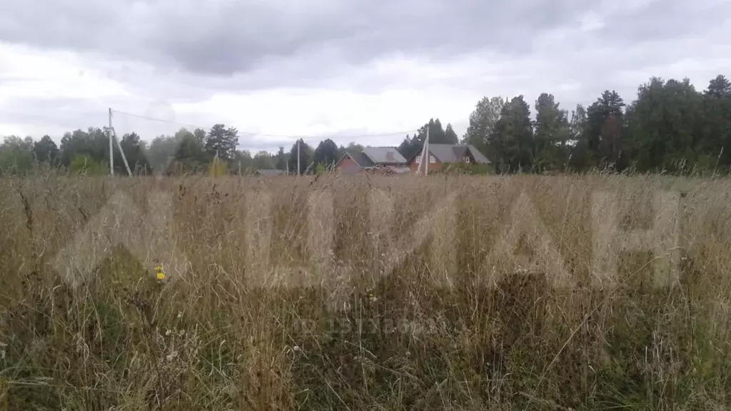 Купить участок в Трубачево Томск.