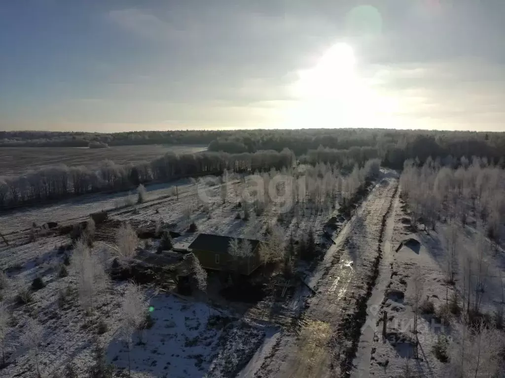 Участок в Вологодская область, д. Жилино ул. Николаевская (10.0 сот.) - Фото 1