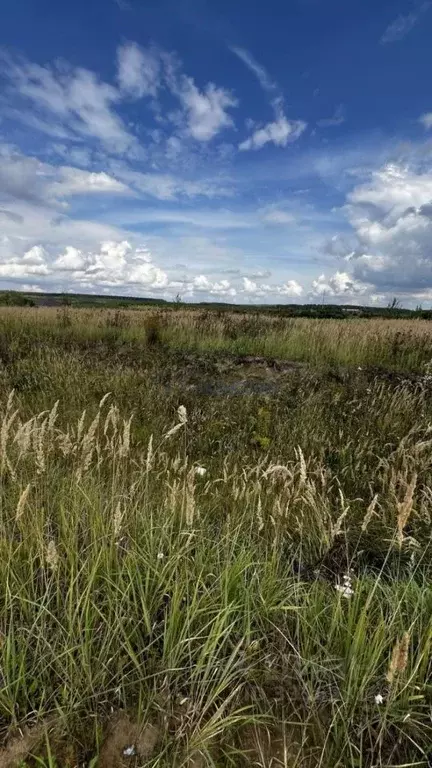 Участок в Нижегородская область, Богородский муниципальный округ, д. ... - Фото 1