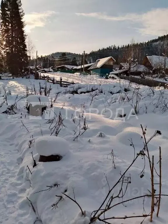 Дом в Алтай, Турочакский район, с. Иогач Таежный пер., 6 (61 м) - Фото 1