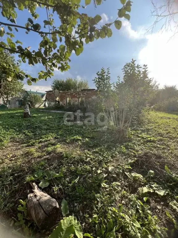 Участок в Тульская область, Киреевский район, Шварцевское ... - Фото 0