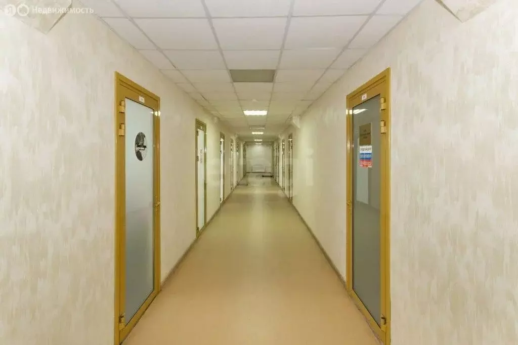 Офис (18.1 м) - Фото 2