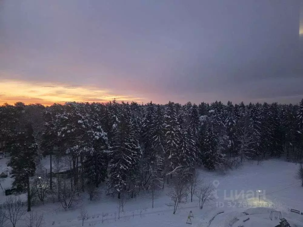 2-к кв. Московская область, Дубна просп. Боголюбова, 11 (48.0 м) - Фото 1