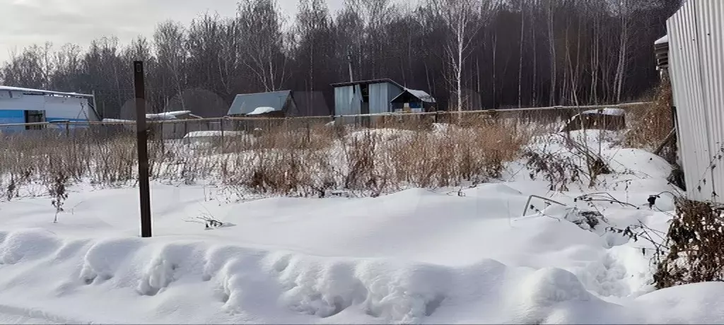 Участок в Новосибирская область, Новосибирский район, Мичуринский ... - Фото 1