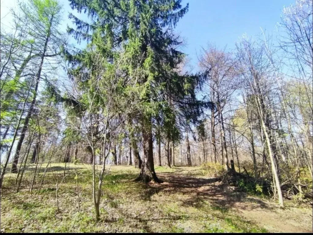 Участок в Ленинградская область, Всеволожск  (7.94 сот.) - Фото 2