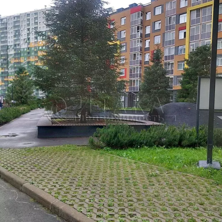 Студия Ленинградская область, Мурино Всеволожский район, просп. ... - Фото 2