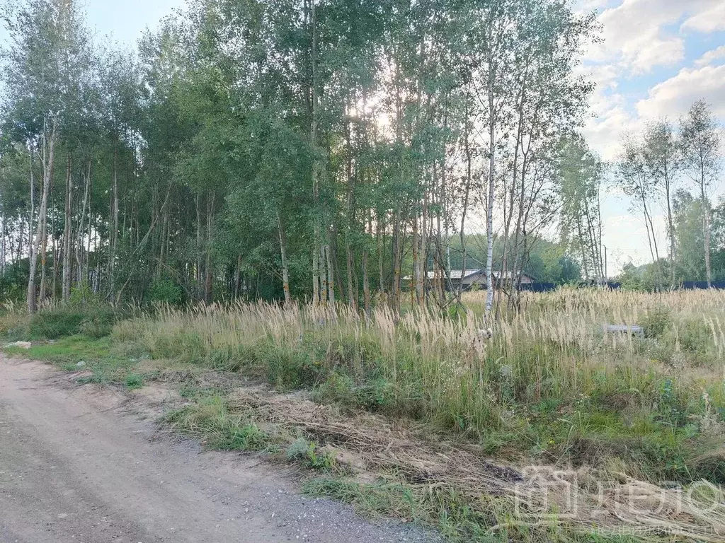 Участок в Рязанская область, Рязанский муниципальный округ, д. Гнетово ... - Фото 1