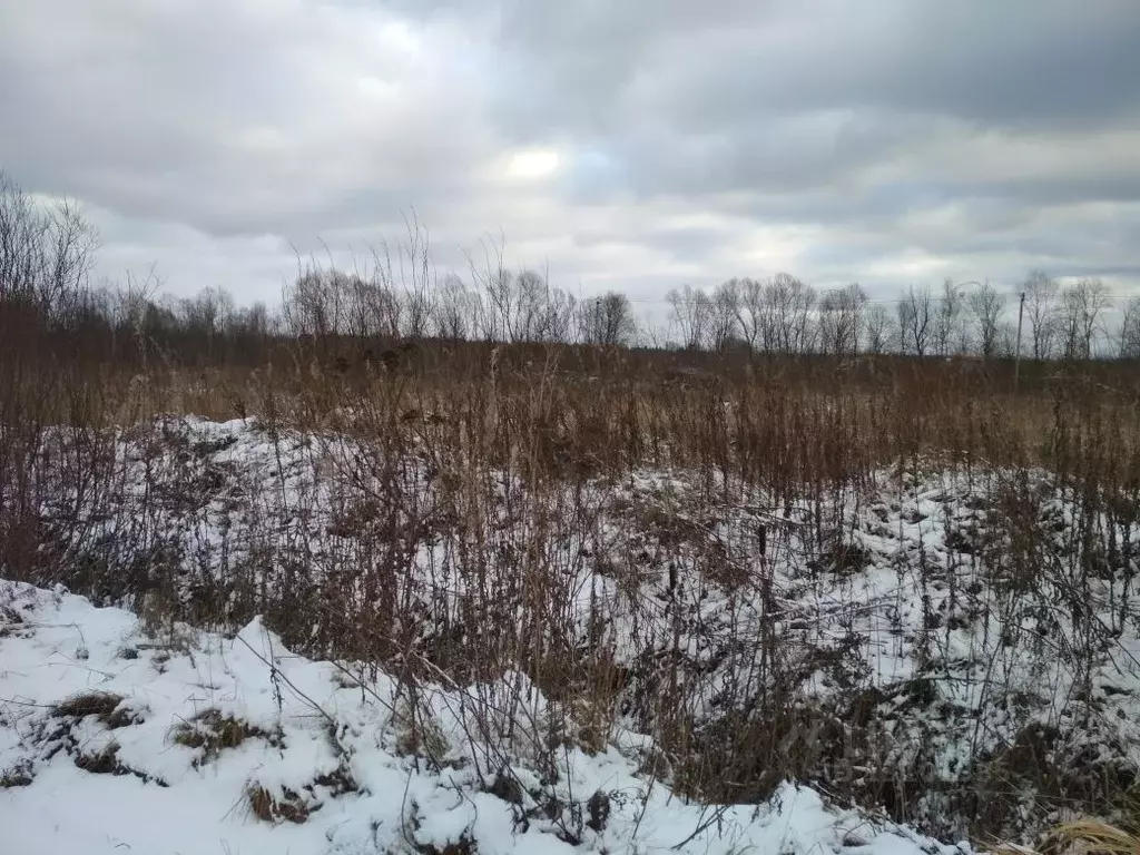 участок в новгородская область, новгородский район, д. новое село . - Фото 0