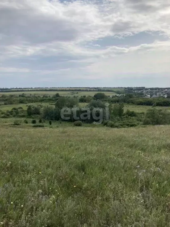 Участок в Белгородская область, Белгородский муниципальный округ, с. ... - Фото 1
