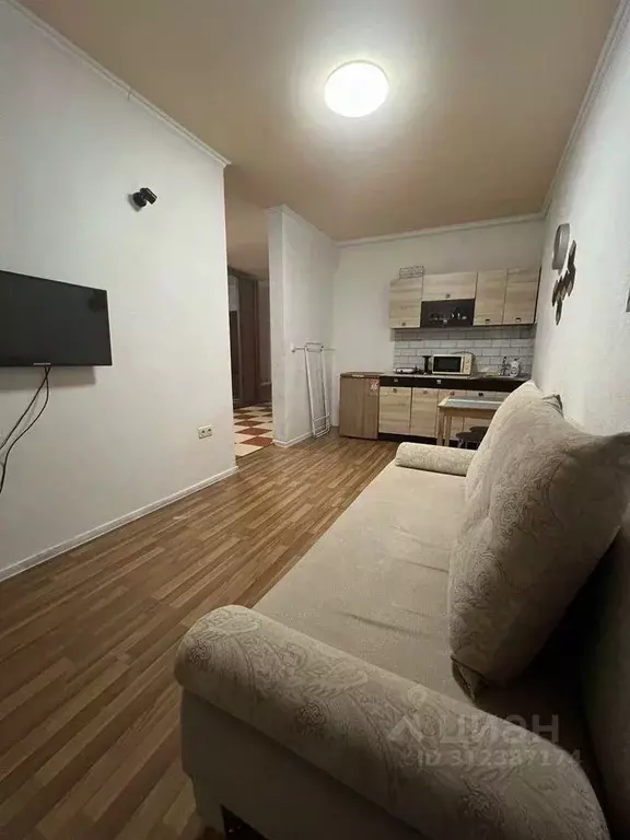 Студия Краснодарский край, Анапа ул. Самбурова, 256 (40.0 м) - Фото 2