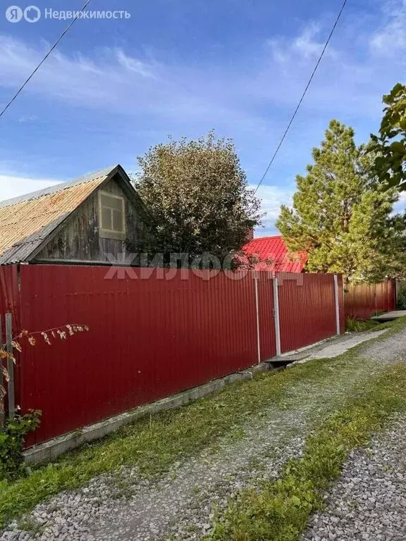 Участок в Новосибирск, садовое товарищество Сибиряк (3.4 м) - Фото 1