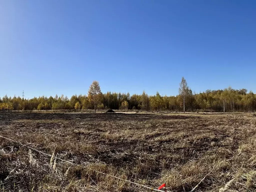 Участок в Тульская область, Ясногорский район, Иваньковское ... - Фото 0