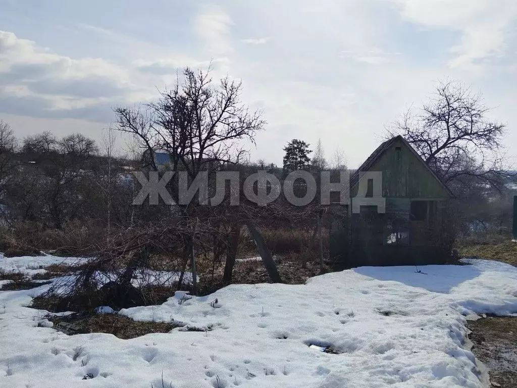 Участок в Брянская область, Брянск Рассвет садовое общество,  (5.0 ... - Фото 1