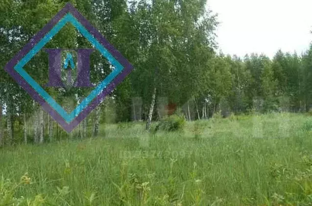 Купить Землю В Костарево Пермь