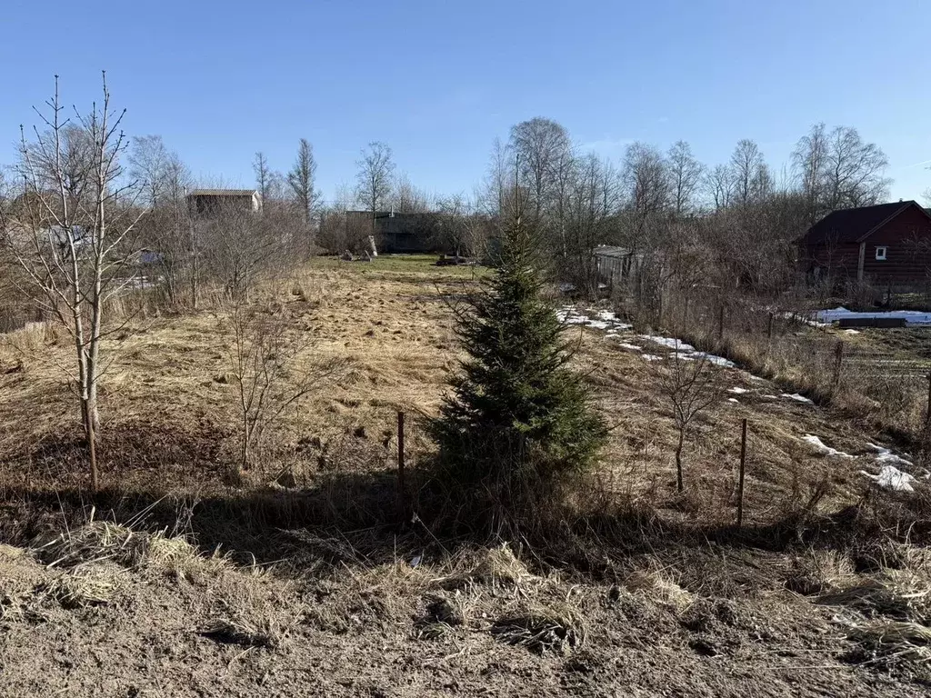 Участок в Ленинградская область, Ломоносовский район, Пениковское ... - Фото 1