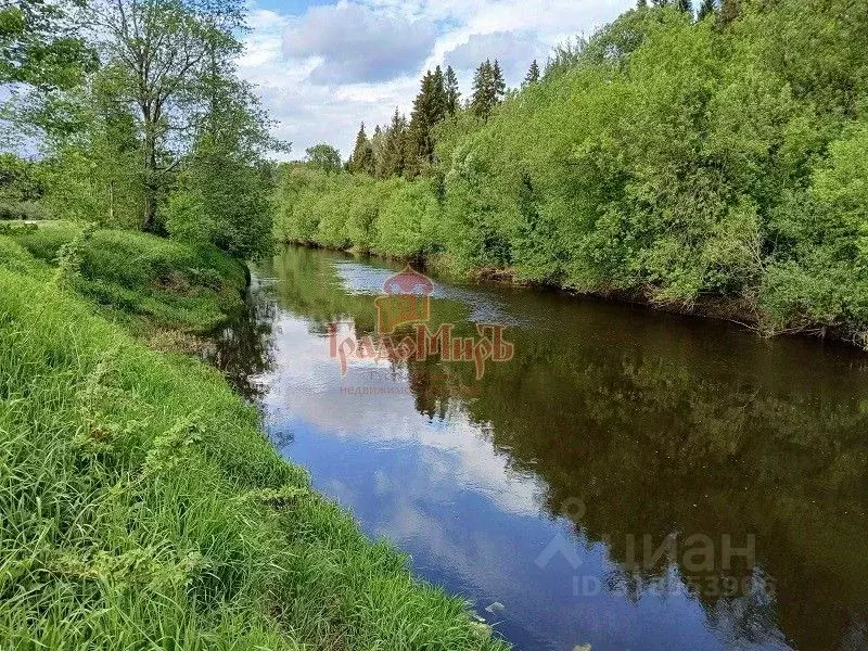 Участок в Московская область, Талдомский городской округ, с. ... - Фото 1