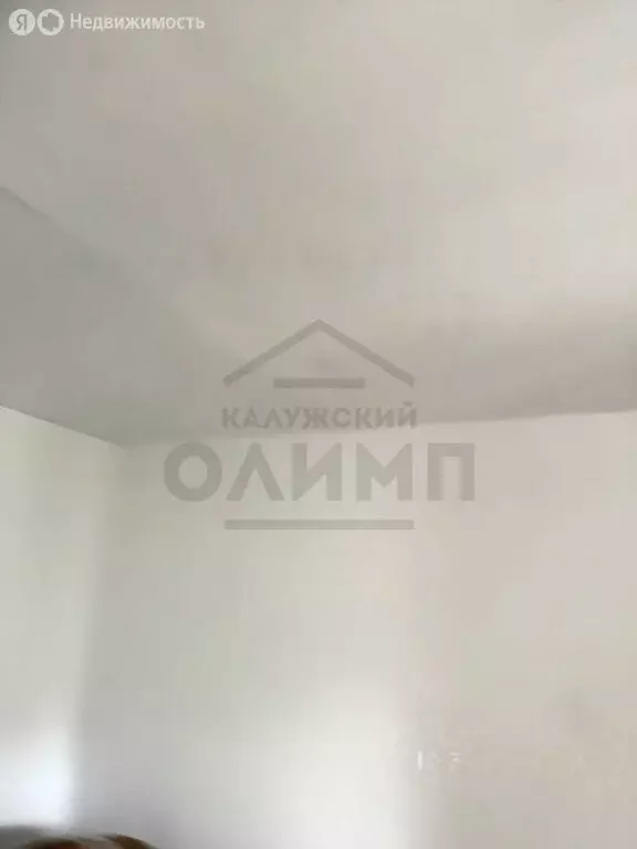 1-комнатная квартира: Калуга, Московская улица, 315к2 (31 м) - Фото 1