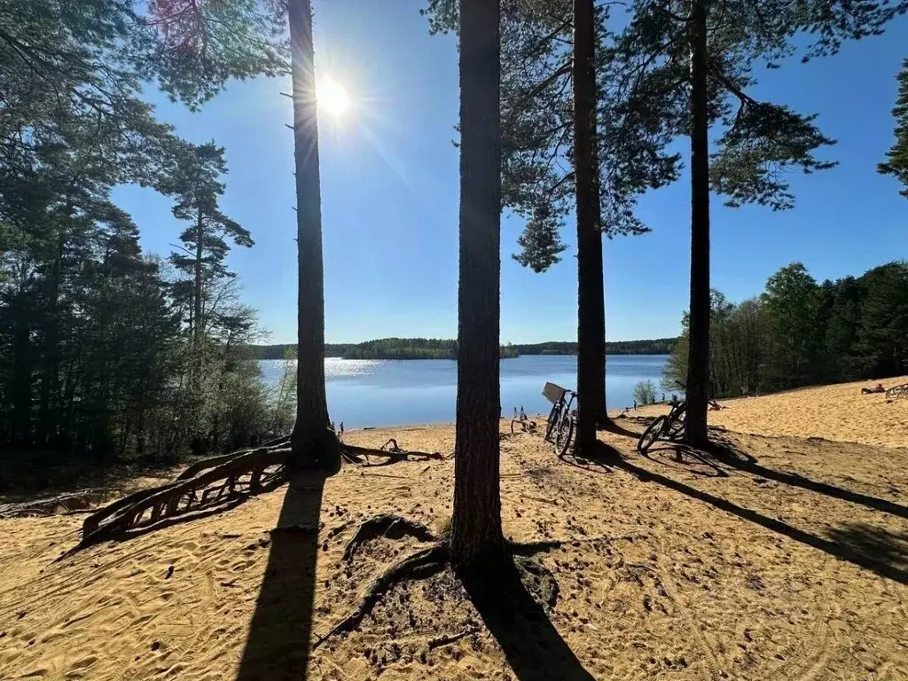 Дом в Ленинградская область, Приозерский район, пос. Сосново  (300 м) - Фото 1