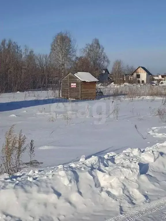 Участок в Алтайский край, Барнаул городской округ, пос. Бельмесево  ... - Фото 2