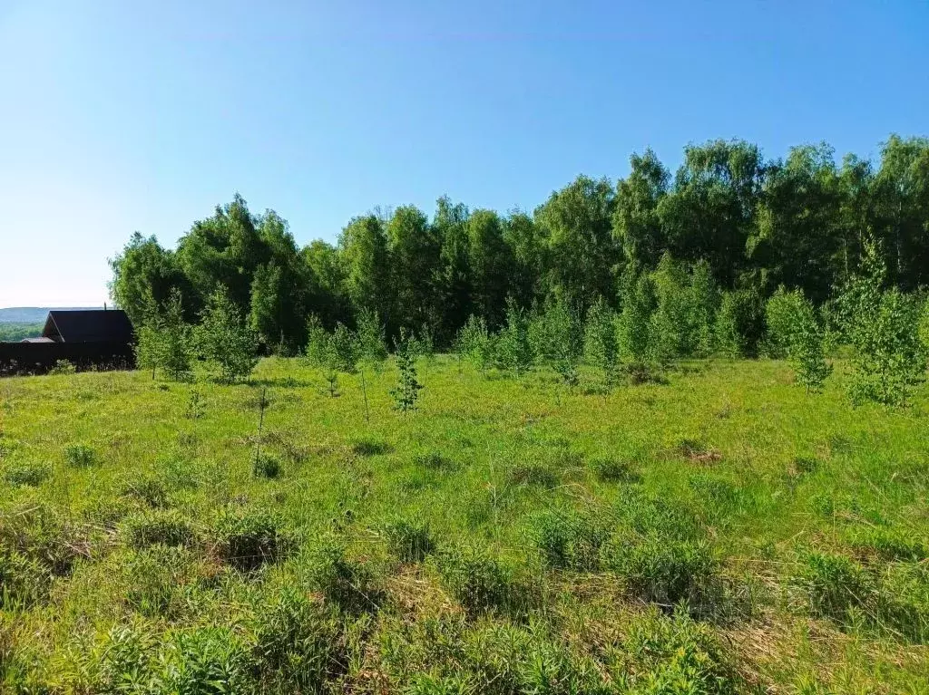 Участок в Нижегородская область, Нижний Новгород Михальчиково кп, ... - Фото 1