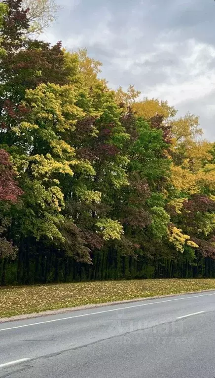 Коттедж в Московская область, Дмитровский муниципальный округ, ... - Фото 2