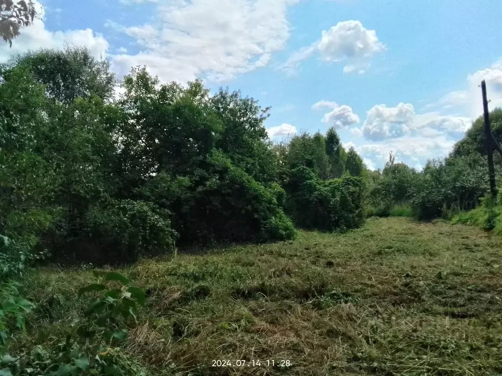 Участок в Тверская область, Кимрский муниципальный округ, д. Костенево ... - Фото 2