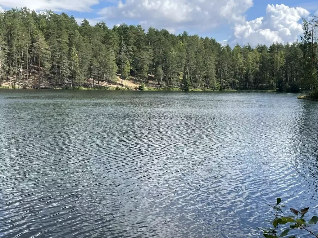 Участок в Ленинградская область, Выборгский район, Полянское с/пос, ... - Фото 0