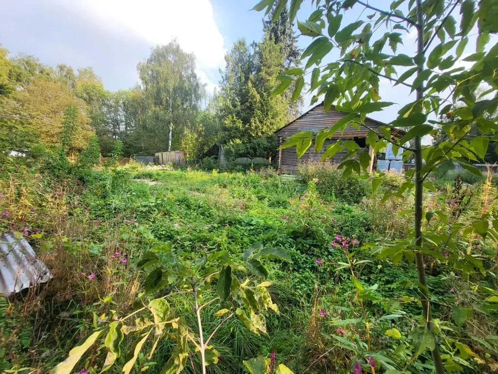 Участок в Московская область, Чехов Серпуховская ул., 8 (6.7 сот.) - Фото 1