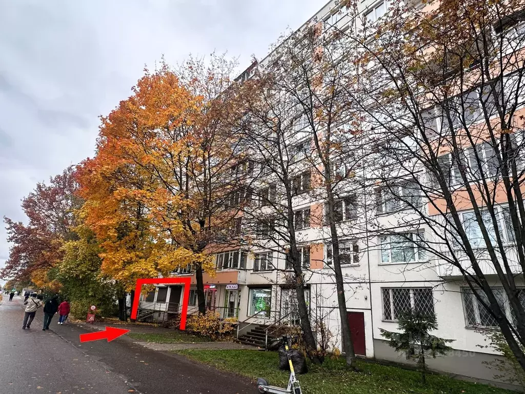Помещение свободного назначения в Санкт-Петербург Бухарестская ул., ... - Фото 2