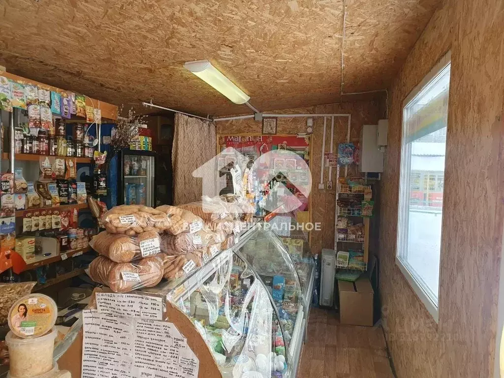 Торговая площадь в Новосибирская область, Новосибирск ул. Кропоткина, ... - Фото 1