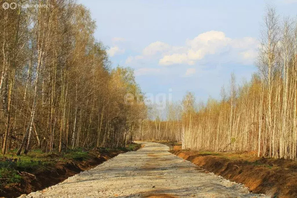 Участок в Мошковский район, коттеджный посёлок Берёзовый (14 м) - Фото 1