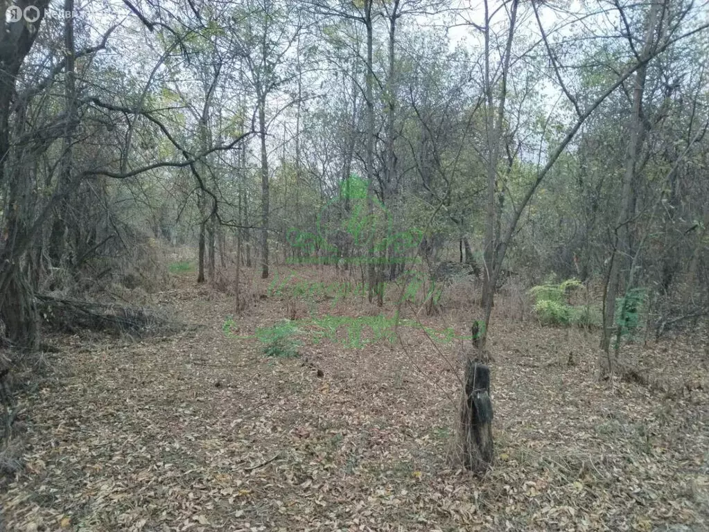 Участок в Абинск, Пионерская улица (27.5 м) - Фото 1