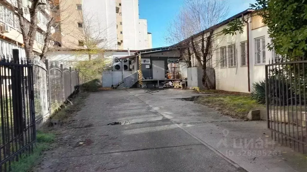 Помещение свободного назначения в Краснодарский край, Сочи городской ... - Фото 1