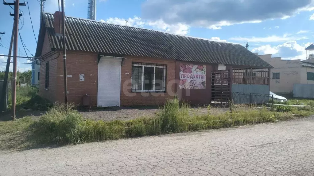 Помещение свободного назначения в Саратовская область, Воскресенский ... - Фото 1