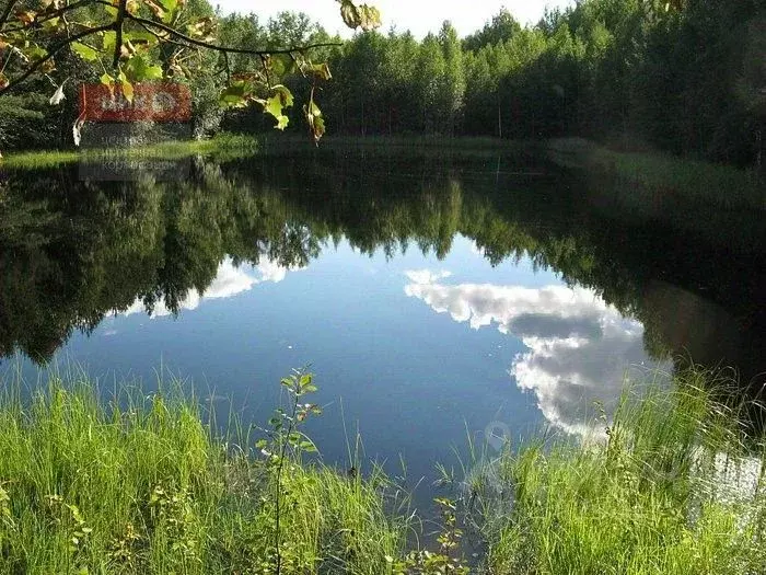 Участок в Рязанская область, Спасский район, Панинское с/пос, ... - Фото 1