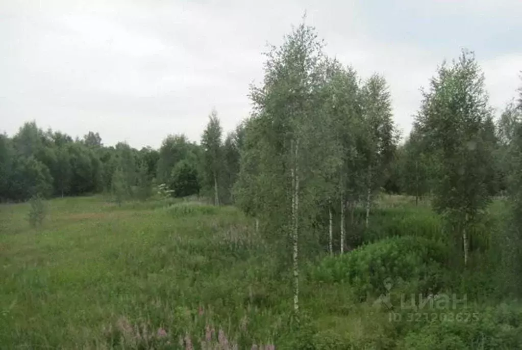 Участок в Московская область, Клин городской округ, Мир-2007 садовое ... - Фото 0